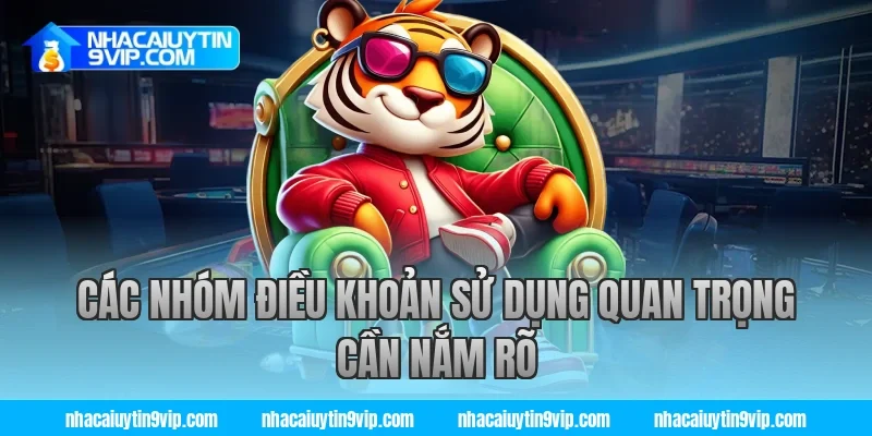 Các nhóm điều khoản sử dụng quan trọng cần nắm rõ