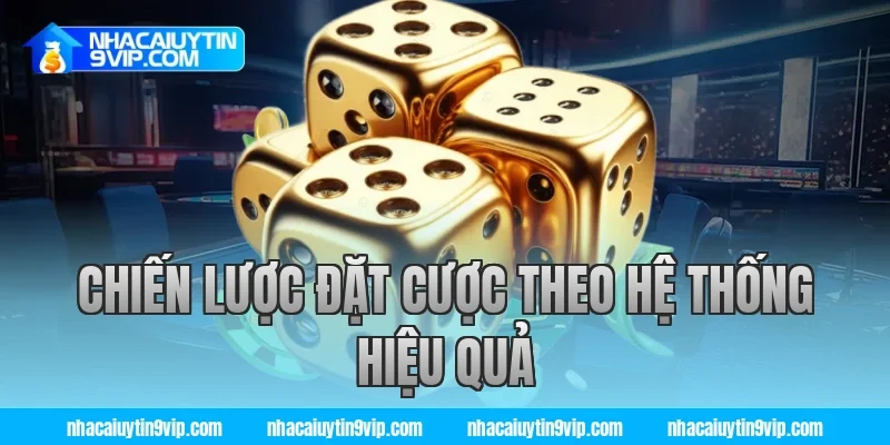 Chiến Lược Đặt Cược Theo Hệ Thống Hiệu Quả