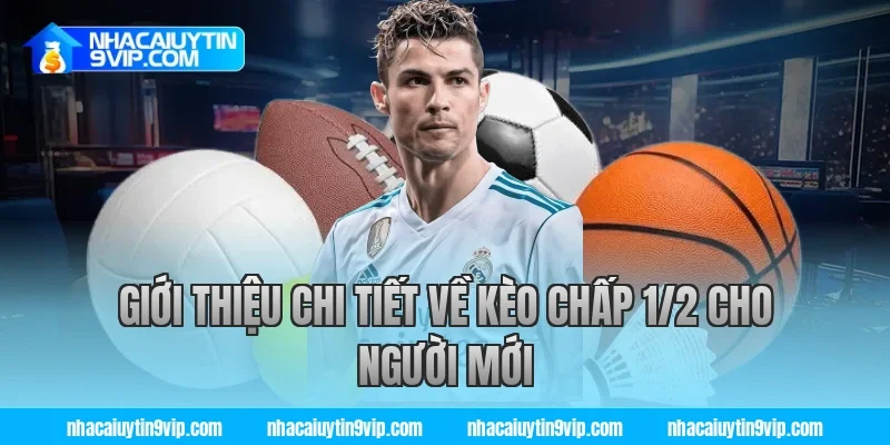 Giới thiệu chi tiết về kèo chấp 1/2 cho người mới
