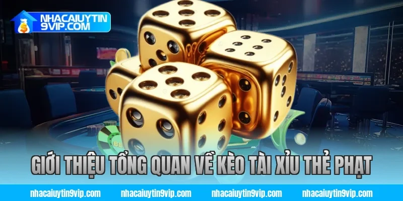 Giới thiệu tổng quan về kèo tài xỉu thẻ phạt