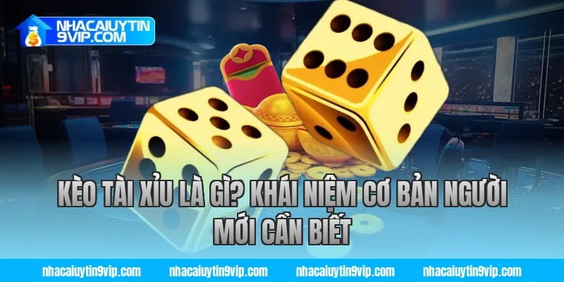 Kèo Tài Xỉu Là Gì? Khái Niệm Cơ Bản Người Mới Cần Biết