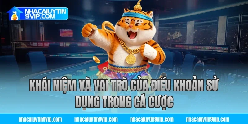 Khái niệm và vai trò của điều khoản sử dụng trong cá cược