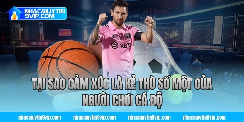 Tại Sao Cảm Xúc Là Kẻ Thù Số Một Của Người Chơi Cá Độ